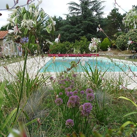 Villa Entiere Du Chateau Lacroix De Civrac 3 Ch, 3 Sdb, Piscine Xxl,Sauna, 4 Etoiles,7 Pers Exteriér fotografie